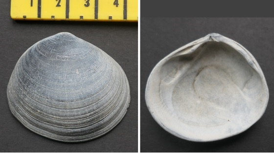 &copy; Thijs de Boer